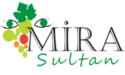 mira-logo-2